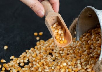 الصين تخفض توقعات واردات الذرة إلى النصف وتصل لأدنى مستوياتها في 8 سنوات