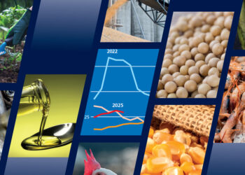 إمدادات الذرة الوفيرة تعزز تجارة الحبوب العالمية بمقدار 5.1 مليون طن خلال موسم 2025-2026