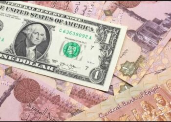 سعر الدولار