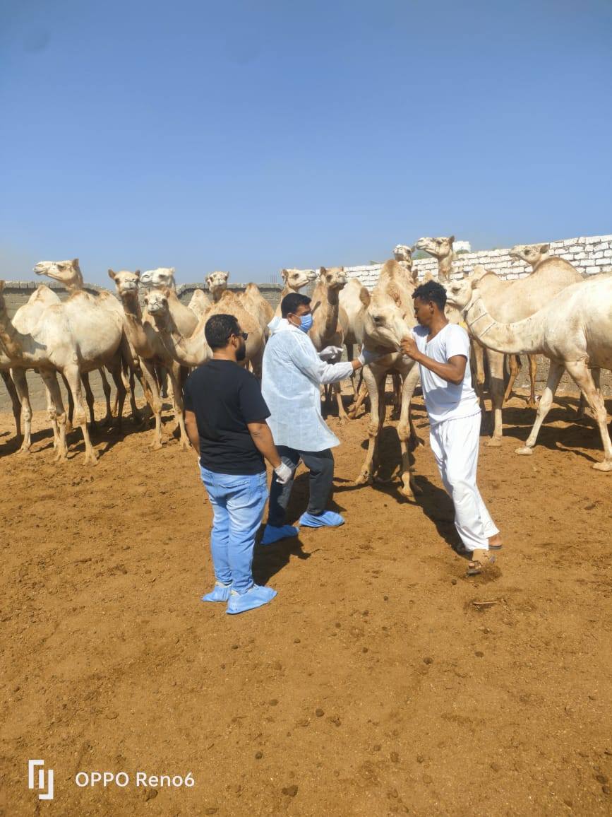 "الزراعة" تواصل جهود الكشف المبكر والسيطرة على الأمراض المشتركة خلال سبتمبر