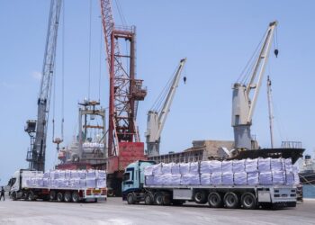 ميناء دمياط يستقبل 13381 طن قمح و 5553 طن ذرة