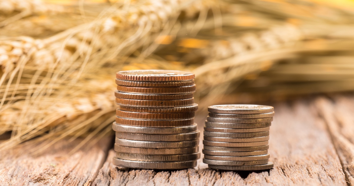انخفاض عقود القمح بنهاية تعاملات الإثنين إلى أدنى مستوى لها على خلفية وفرة الإمدادات العالمية
