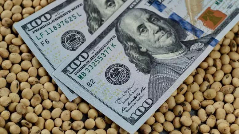 عقود فول الصويا ترتفع في ختام تعاملات الثلاثاء وسط توقعات بتجدد المشتريات الصينية