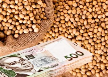 أسعار فول الصويا في السوق الأوكراني لا تزال منخفضة بسبب انخفاض الطلب على الصادرات