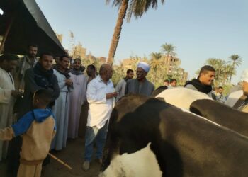 "الزراعة" تكثف حملاتها على أسواق الماشية بالمحافظات لمتابعة استقرار الوضع الوبائي