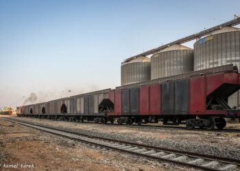 ميناء دمياط يستقبل 25105 طن ذرة و 6735 طن قمح
