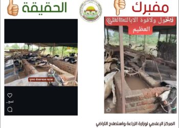 نفوق الماشية