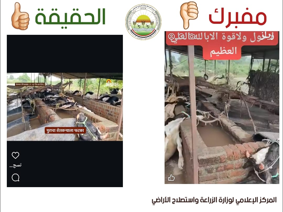 نفوق الماشية