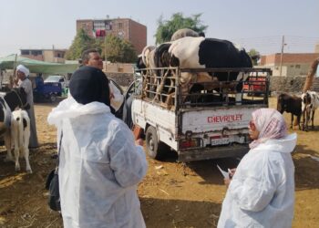 الزراعة