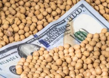 أسعار فول الصويا في أوكرانيا آخذة في الارتفاع بعد أسعار سوق الأسهم