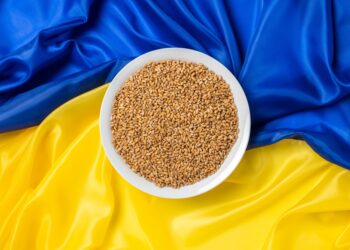أوكرانيا تصدر 10 ملايين طن من الحبوب منذ بداية الموسم