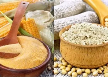 سلال الإيرانية تطرح مناقصات لشراء الذرة وكسب الصويا