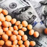 أسعار فول الصويا في أوكرانيا تستمر بالارتفاع تدريجياً على خلفية ارتفاع الطلب ومحدودية العرض