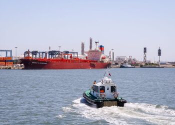 ميناء دمياط يستقبل 37574 طن ذرة و 13800 طن قمح