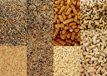 العراق تعلن إعفاء استيراد الأعلاف والأدوية البيطرية من الجمارك لدعم قطاع الدواجن