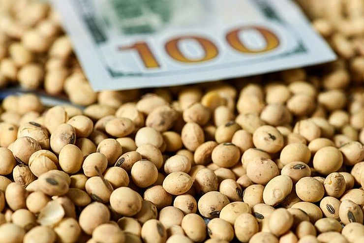 الصويا تتبع المشتقات والحبوب وترتفع اليوم الإثنين في انتظار تقرير وزارة الزراعة الأمريكية