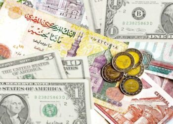 سعر الدولار