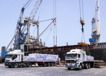 ميناء دمياط يستقبل 25794 طن ذرة و 6044 طن قمح