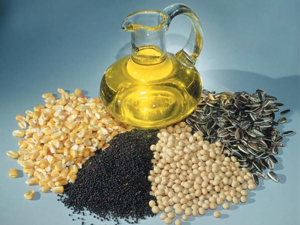 البذور الزيتية