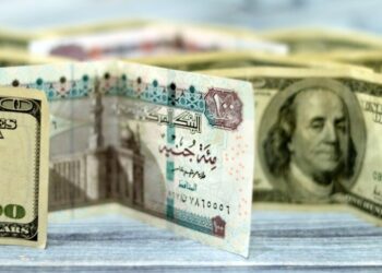 سعر الدولار