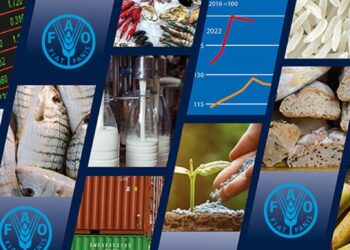 الفاو: مؤشر أسعار الحبوب