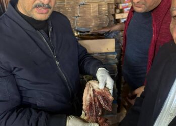 الأسماك