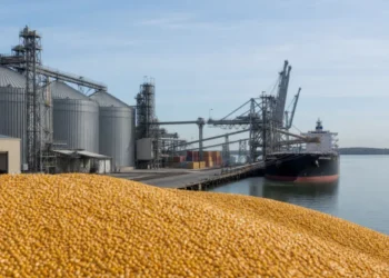 الذرة