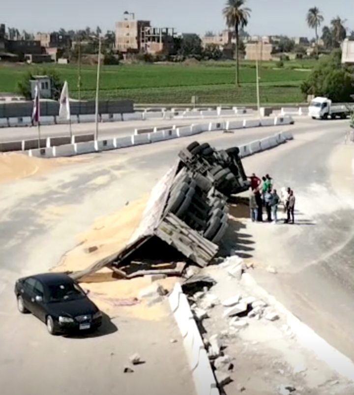 ذرة صفراء