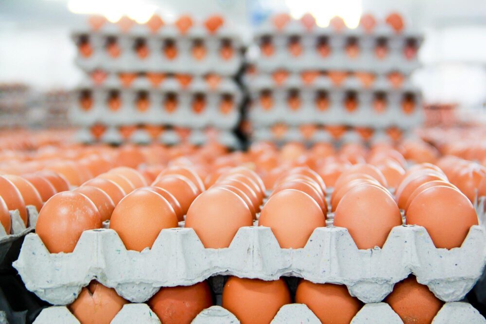 الكويت| تغريم 12 جمعية تعاونية لتحكمها في عرض وبيع البيض