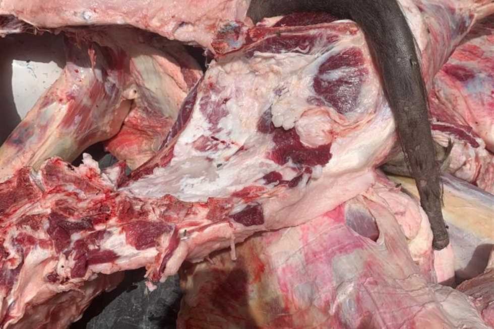 إعدام ربع طن لحوم مصابة بمرض السل فى الوادي الجديد