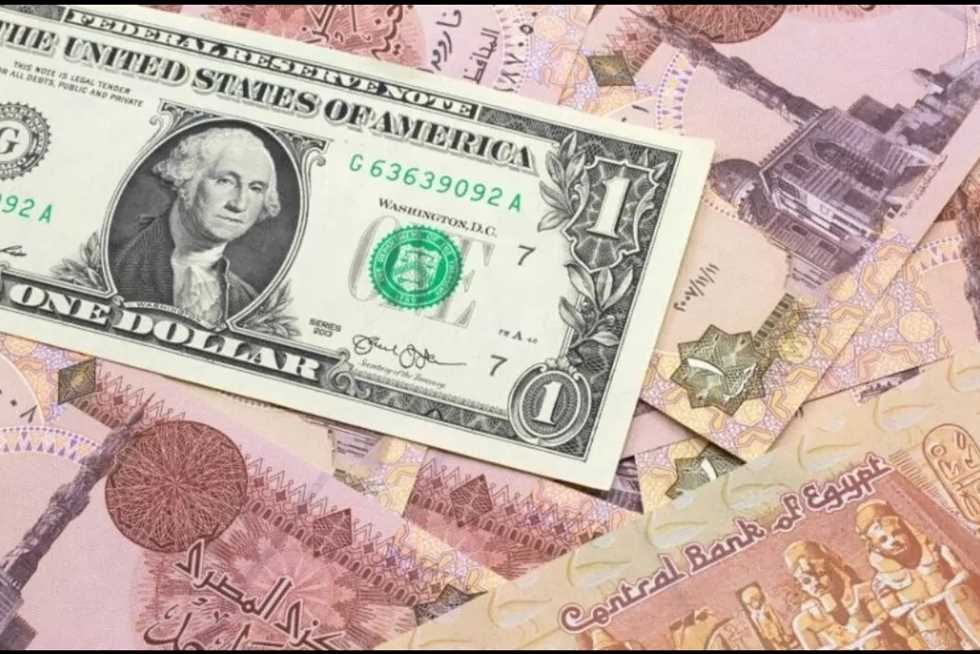 سعر الدولار