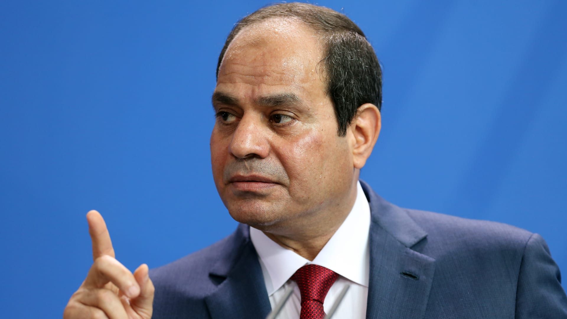 "السيسي" يوجه بضرورة دعم المزارعين وأصحاب رؤوس الماشية لزيادة إنتاج الألبان