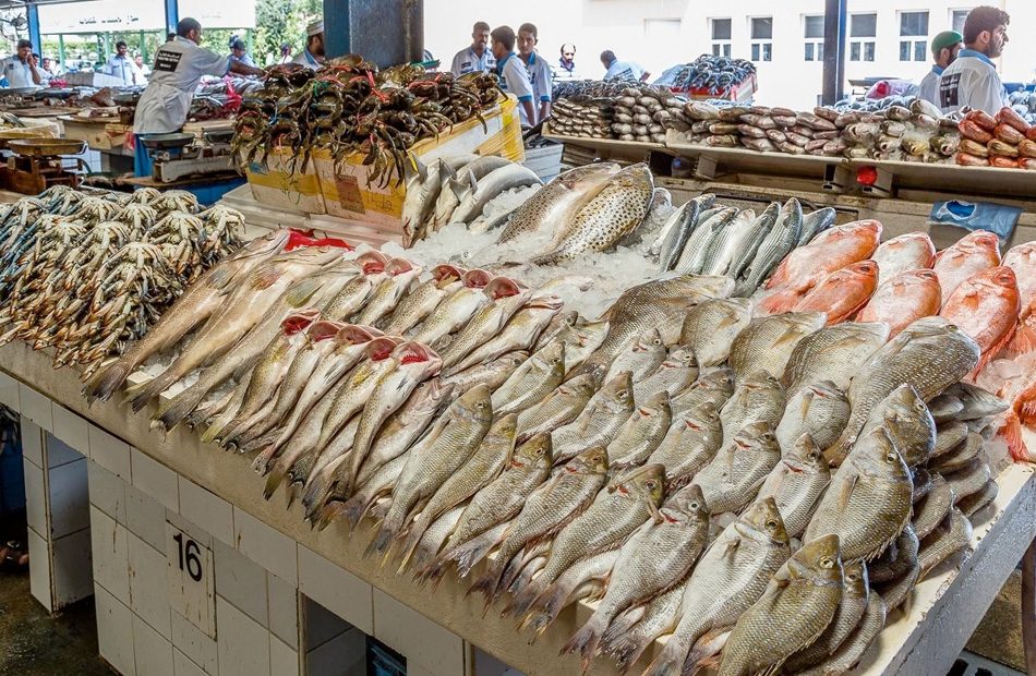 أسعار السمك اليوم في سوق العبور