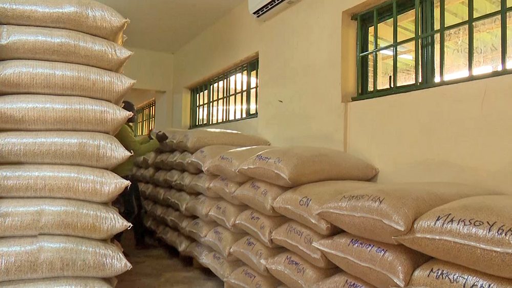ضبط 3.5 طن أعلاف مجهولة المصدر خلال حملات تموينية بالبحيرة