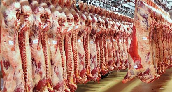 بـ195 جنيها للكيلو .. التموين تطرح لحوم سودانية بأسعار مخفضة في المنافذ