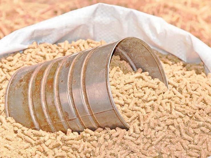 أسعار خامات الأعلاف اليوم في الأسواق