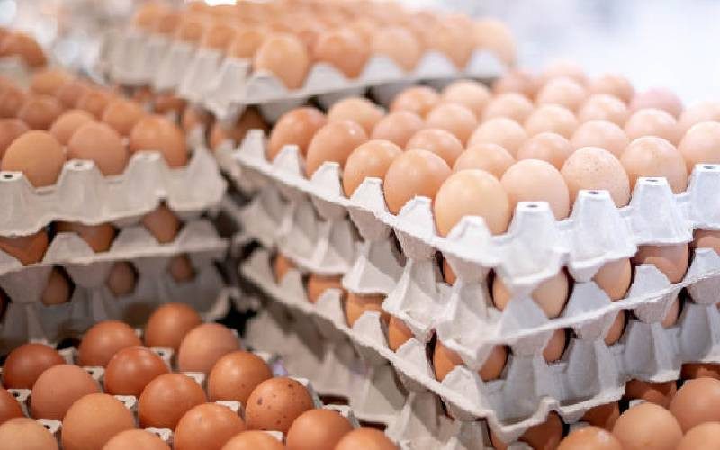 تعرف على تفاصيل تكلفة طبق البيض بالمزرعة