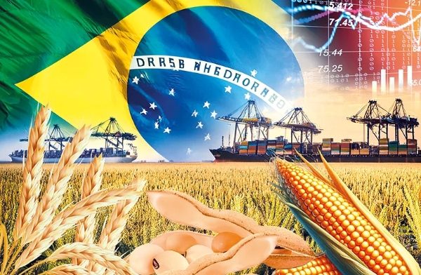 البرازيل تشهد إنتاجاً قياسياً من الحبوب والبذور الزيتية في عام 2025