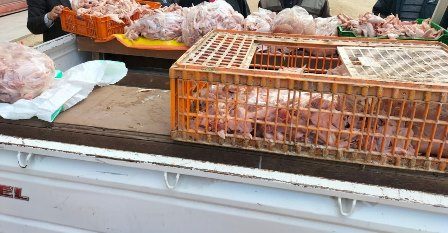 حملات تفتيشية ورقابية مفاجئة على محال بيع الطيور بمنيا القمح فى الشرقية