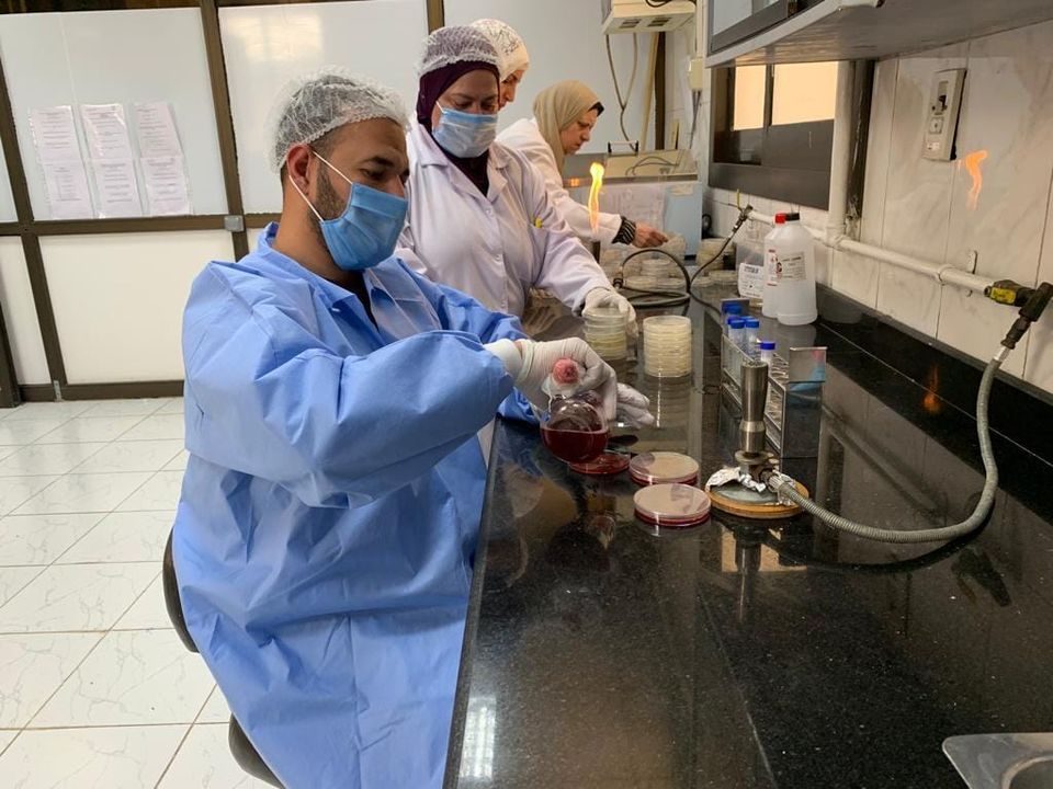 الزراعة: معامل معهد صحة الحيوان خلال الإجازة تواصل فحص عينات الأغذية ذات الأصل الحيواني