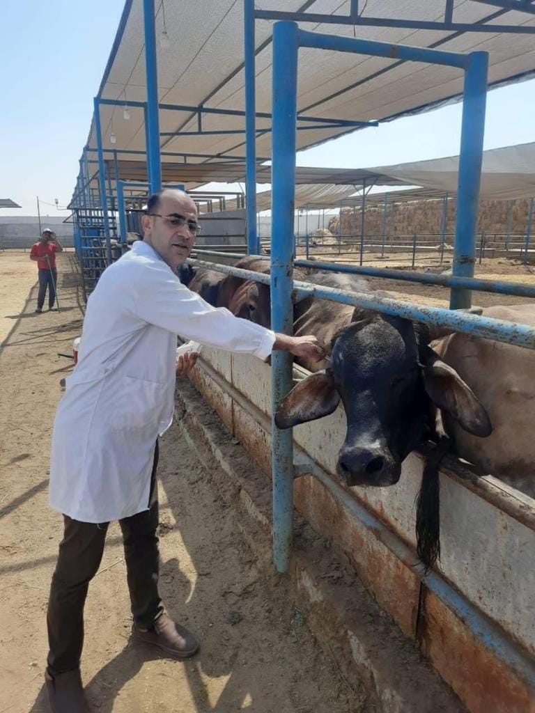الزراعة: إعطاء أكثر من 2.4 مليون جرعة ضد مرضى الحمي القلاعية والوادي المتصدع