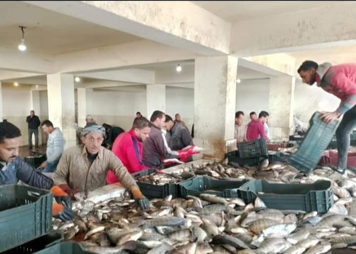 أسماك