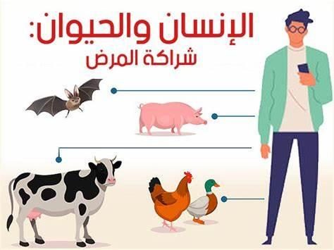 الإنسان والحيوان