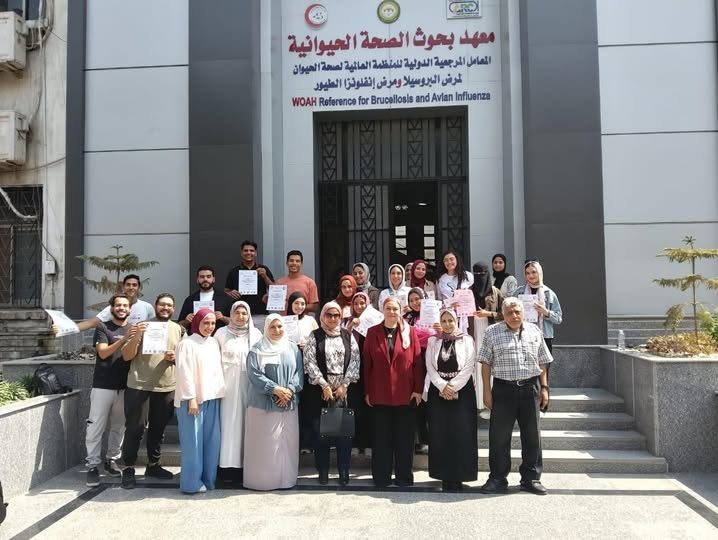 الطب البيطري