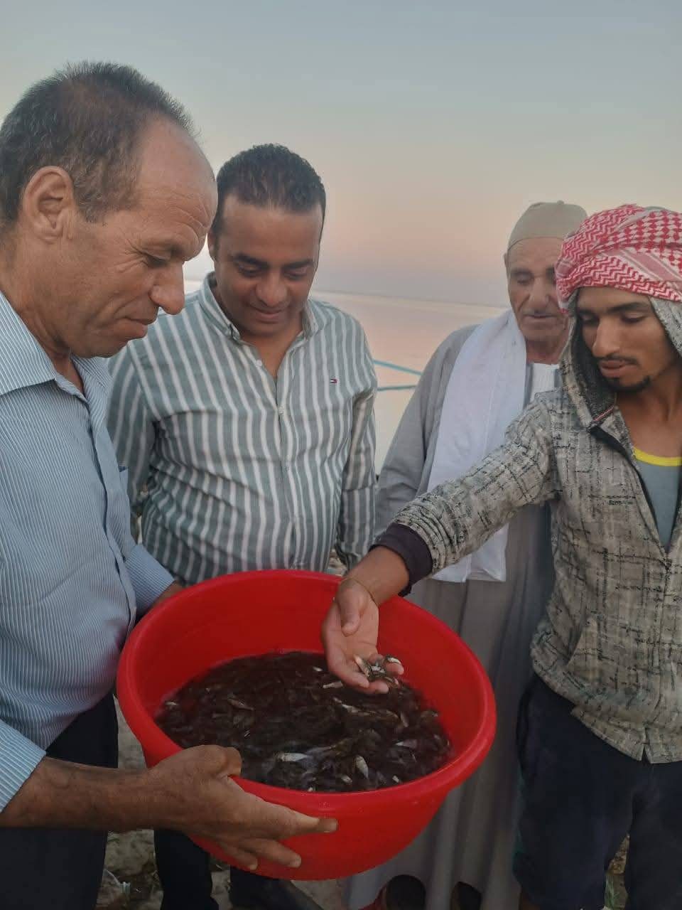 "تنمية البحيرات" يواصل خطة دعم بحيرة وادي الريان بزريعة مبروك حشائش