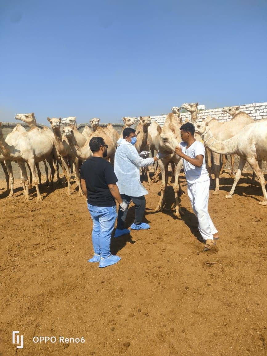 "الزراعة" تواصل جهود الكشف المبكر والسيطرة على الأمراض المشتركة خلال سبتمبر