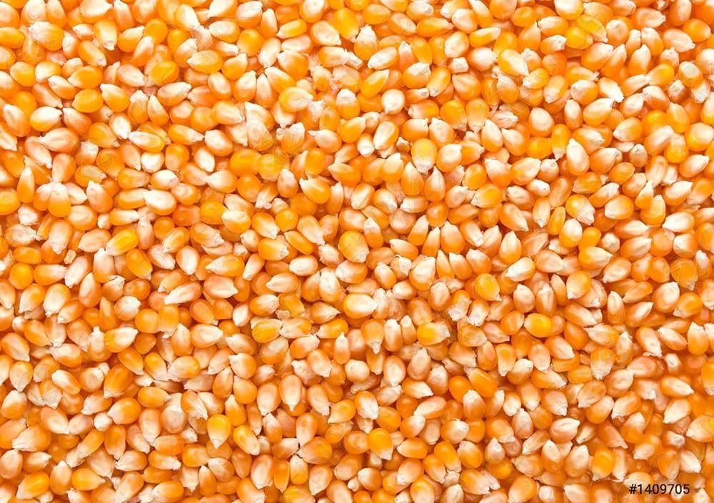 واردات الذرة