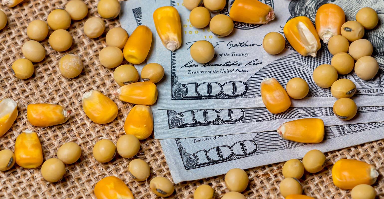 خاص| الدقهلية للدواجن: ارتفاع طفيف بأسعار الخامات.. والسوق منتبه لما يحدث