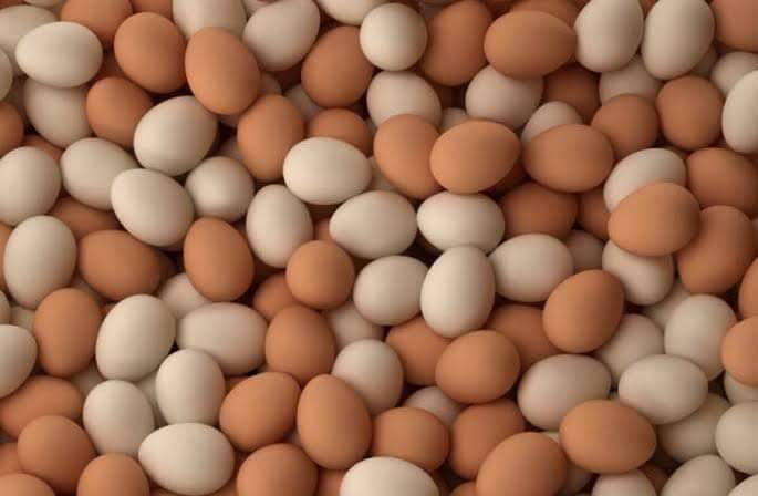 أسعار بيض المائدة