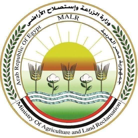 وزير الزراعة: الإفراج عن 199 ألف طن اعلاف"الذرة والصويا" بحوالي 96 مليون دولار